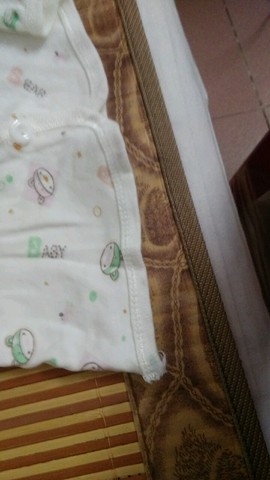 journal_insert_pic_313738827
