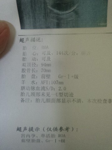 journal_insert_pic_314151734