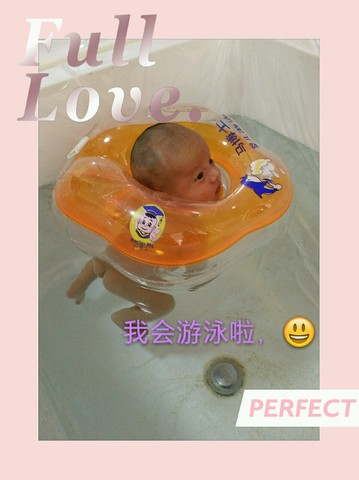 journal_insert_pic_317598179