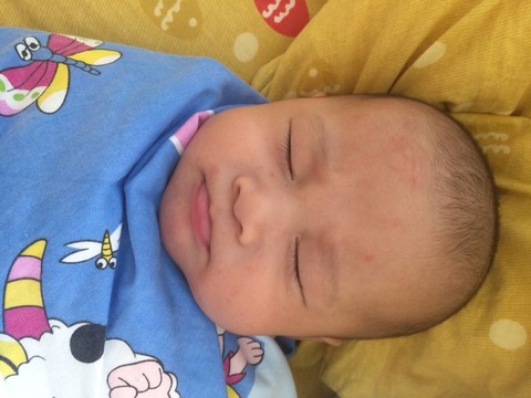 journal_insert_pic_318690326