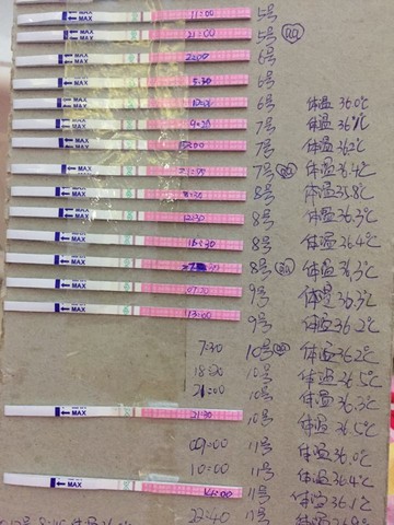 journal_insert_pic_320851830