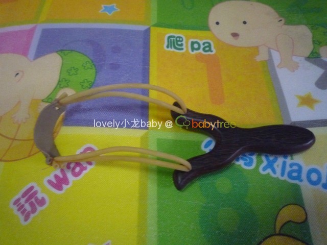 journal_insert_pic_321483017