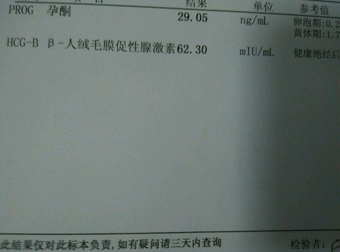 journal_insert_pic_321605078