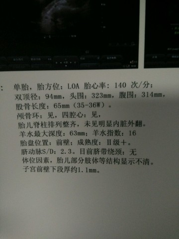 journal_insert_pic_322403904
