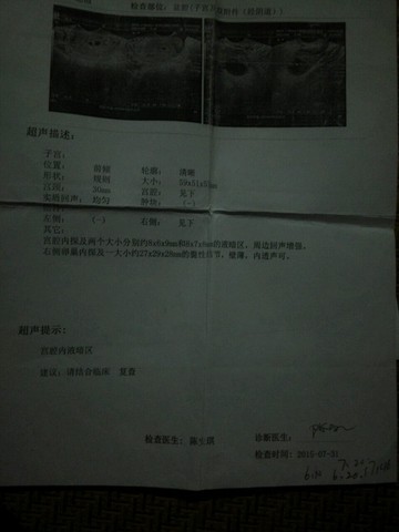 journal_insert_pic_323494749