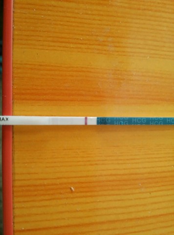 journal_insert_pic_323375803