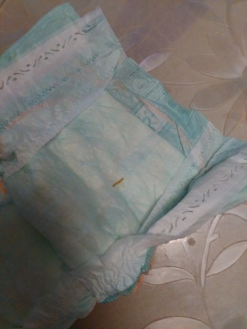 journal_insert_pic_325663994