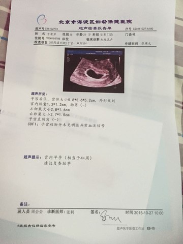 journal_insert_pic_325539005