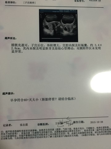 journal_insert_pic_326475892