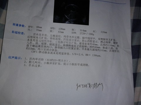 journal_insert_pic_327775370