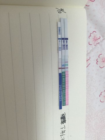 journal_insert_pic_328739005