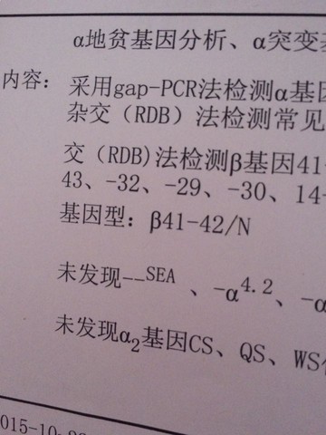 journal_insert_pic_331347539