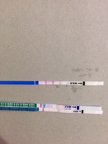 journal_insert_pic_332335043