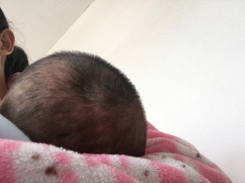 journal_insert_pic_331911060