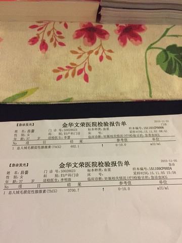 journal_insert_pic_332330610
