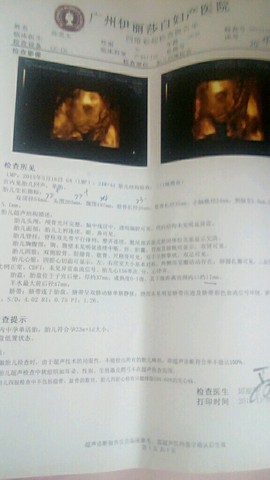 journal_insert_pic_333056791