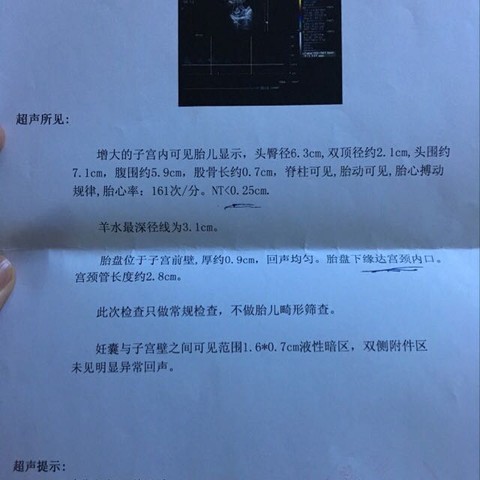 journal_insert_pic_334276046