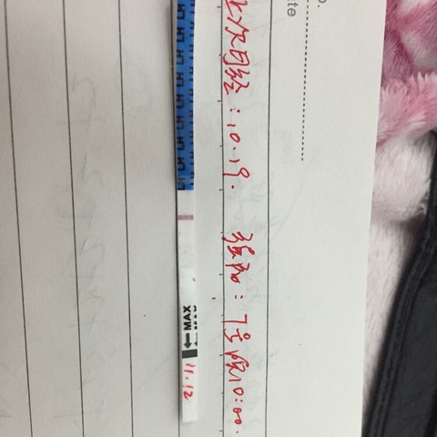 journal_insert_pic_336718267