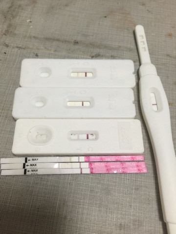 journal_insert_pic_337261382