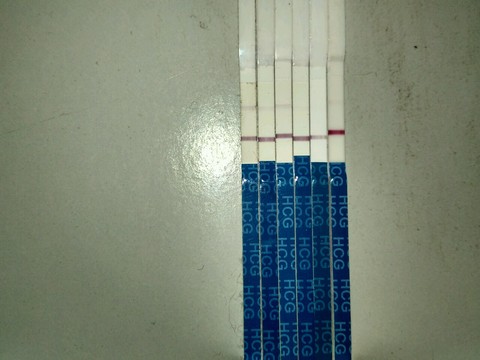 journal_insert_pic_338092620