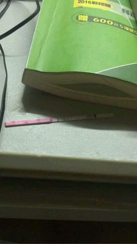 journal_insert_pic_337712934