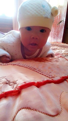 journal_insert_pic_338578615