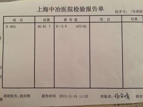 journal_insert_pic_338469306