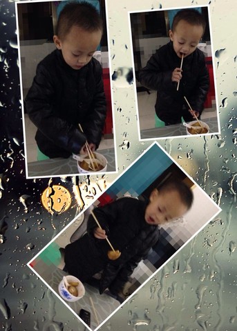 journal_insert_pic_338622147