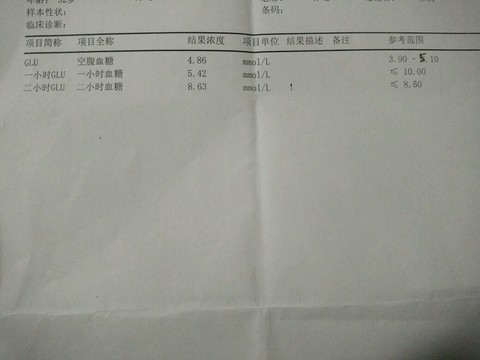 journal_insert_pic_339378112
