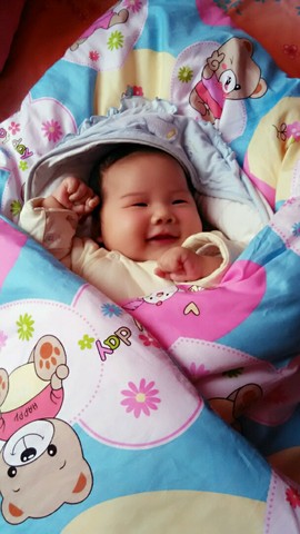 journal_insert_pic_340942123