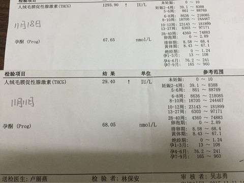 journal_insert_pic_340908029