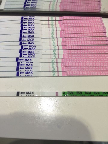 journal_insert_pic_341694562
