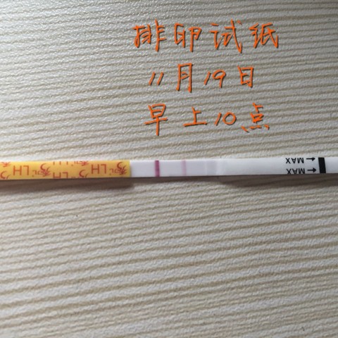 journal_insert_pic_341292469