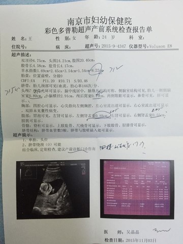 journal_insert_pic_341403325