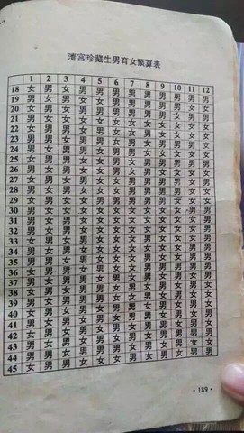 journal_insert_pic_341837263