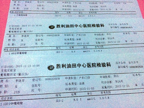 journal_insert_pic_345112075