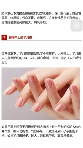 journal_insert_pic_344562059