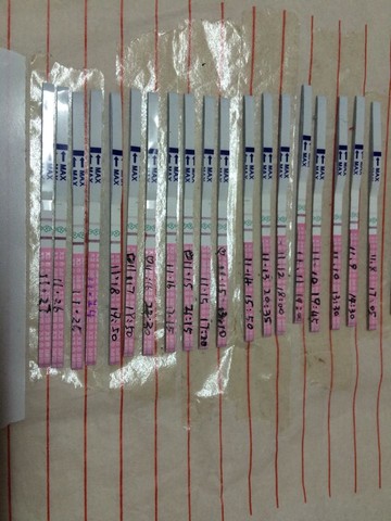 journal_insert_pic_348780673