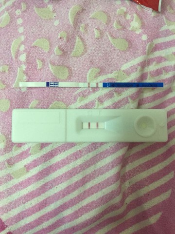 journal_insert_pic_351665384
