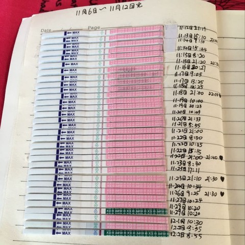 journal_insert_pic_352038833