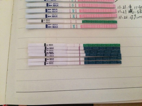 journal_insert_pic_352694363