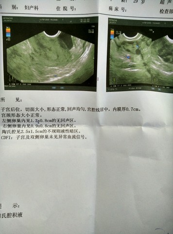 journal_insert_pic_352989058
