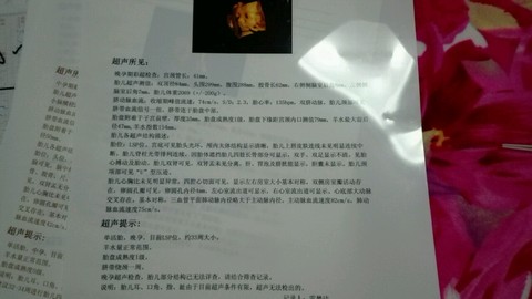 journal_insert_pic_353804265