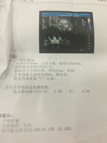 journal_insert_pic_354470847