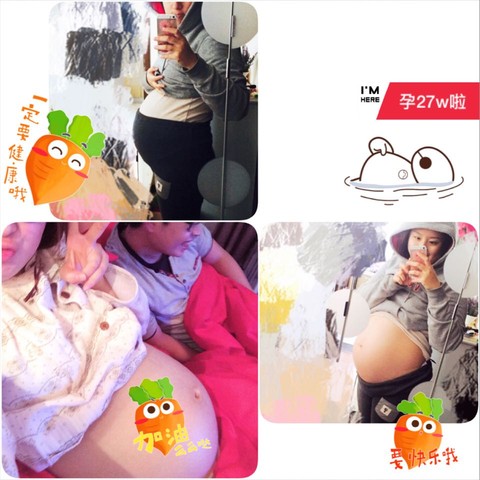 journal_insert_pic_354837254