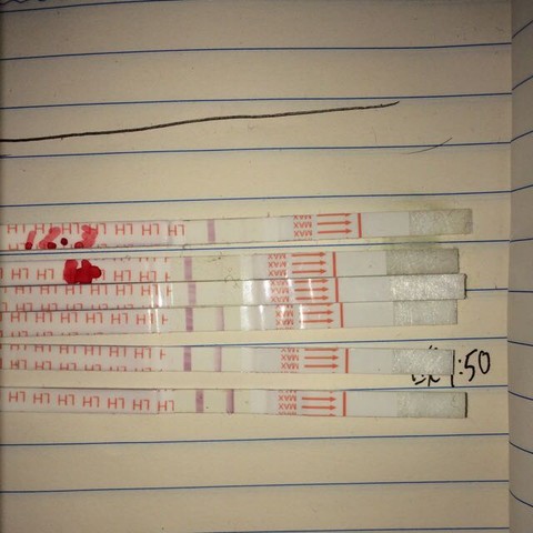 journal_insert_pic_355678619