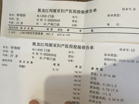 journal_insert_pic_356713154