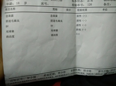 journal_insert_pic_358401239