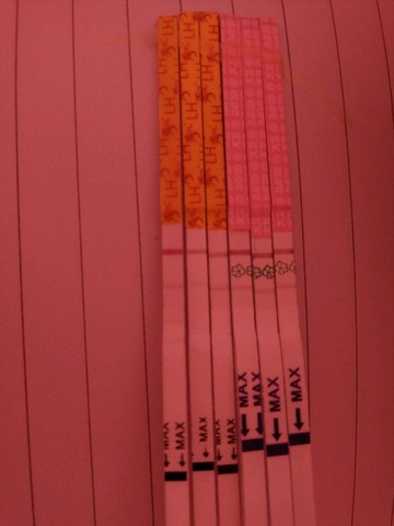 journal_insert_pic_359489267