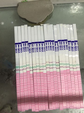 journal_insert_pic_360961824